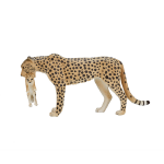 Mojo Wildlife - Cheetah Vrouwtje Met Welp 387167