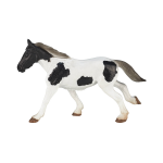 Mojo Horses - Tinker Jaarling 387219