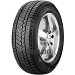 Sunny Wintermax NW211 ( 255/35 R19 96V XL )