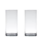 Bellatio Decorations Set Van 2x Stuks Transparante Home-basics Cylinder Vaas/vazen Van Glas 30 X 12 Cm - Vazen