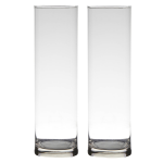Bellatio Decorations Set Van 2x Stuks Transparante Home-basics Cylinder Vaas/vazen Van Glas 30 X 9 Cm - Vazen