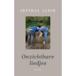 Onzichtbare liedjes