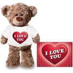Knuffel Teddybeer I Love You Hartje 24 Cm Met Valentijnskaart A5 - Valentijn/ Romantisch Cadeau - Bruin