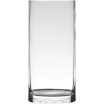 Bellatio Design Transparante Home-basics Cylinder Vorm Vaas/vazen Van Glas 25 X 12 Cm - Vazen