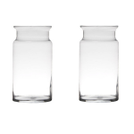 Bellatio Decorations Set Van 2x Stuks Transparante Home-basics Vaas/vazen Van Glas 29 X 15 Cm - Vazen