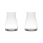 Bellatio Decorations Set Van 2x Stuks Transparante Home-basics Vaas/vazen Van Glas 20 X 14 Cm - Vazen