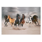 Bellatio Decorations A4 Paarden Schetsboek/ Tekenboek/ Kleurboek/ Schetsblok Papier - Schetsboeken - Wit