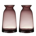 Bellatio Decorations Set Van 2x Stuks Transparante Home-basics Glazen Vaas/vazen 23.5 X 12.5 Cm - Vazen - Paars