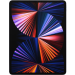 Apple iPad Pro (2021) 12.9 inch 256GB Wifi + 5G Space Gray