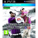 Electronic Arts Tiger Woods PGA Tour 2013