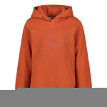 Wildfish Sweater - Oranje