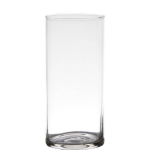 Transparante Home-basics Cylinder Vorm Vaas/vazen Van Glas 19 X 9 Cm - Vazen