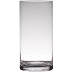 Transparante Home-basics Cylinder Vorm Vaas/vazen Van Bubbel Glas 30 X 15 Cm - Vazen