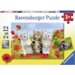 Ravensburger Puzzel Katjes Op Ontdekkingsreis - 2 X 12 Stukjes