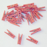 Folat miniwasknijpers junior 2,5 x 0,7 cm hout 24 stuks - Roze