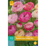 JUB Ranonkel/Ranunculus Pastel Mix Bol - 10 stuks