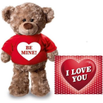 Knuffel Teddybeer 24 Cm Met Rood Shirt Be Mine Hartje - Met Valentijnskaart A5 - Valentijn/ Romantisch Cadeau - Bruin