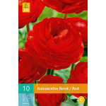 JUB Ranonkel/Ranunculus Bol - 10 stuks - Rood