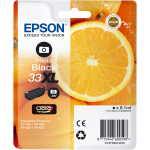 Epson 33XL Cartridge Fotozwart