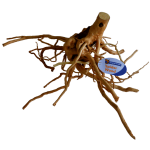 Superfish Spiderwood - Aquarium - Ornament - Large - Bruin