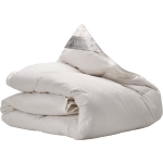 iSleep 4-seizoenen Dekbed 60% Dons - Lits-jumeaux 240x220 Cm