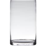Bellatio Design Glazen Bloemen Cilinder Vaas/vazen 25 X 15 Cm Transparant - Vazen