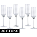 36x Champagneglas/glazen 22 Centiliter - Drinkglazen