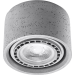 Lamponline Plafondlamp Basic 1 Lichts Beton - Grijs