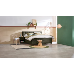 Opbergbox Citrine Met Gestoffeerd Matras - 200 x 210 cm - hunter regain