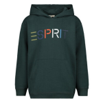 Esprit Sweater - Groen