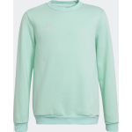 Sweater - Groen