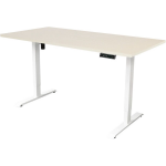 IVOL Elektrisch Verstelbaar Bureau - 160x80 Cm - Single Motor - / Licht Eiken - Wit