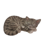 Dierenbeeldje/witte Katten/poezen Kitten Slapend 28 Cm - Beeldjes - Grijs