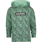 Raizzed Sweater - Groen
