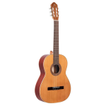 Ortega R200 Traditional Series Guitar klassieke gitaar met gigbag