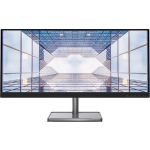 Lenovo L29w-30 - 29"