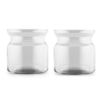 Set Van 2x Stuks Transparante Home-basics Vaas/vazen Van Glas 19 X 19 Cm Brenda - Vazen