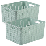 Forte Plastics 2x Stuks Rotan Gevlochten Opbergmand/opbergbox Kunststof - Mint - 38 X 28 X 19 Cm - Opbergbox - Groen