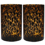 Bellatio Design Set Van 2x Stuks Modieuze Bloemen Cylinder Vaas/vazen Van Glas 30 X 19 Cm Fantasy - Vazen - Zwart
