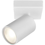 BES LED Led Plafondspot - Brinton Betin - Gu10 Fitting - 1-lichts - Rond - Mat - Kantelbaar - Aluminium - Wit