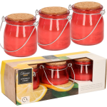 Decoris Set Van 6x Stuks Anti Muggen Citronella Kaars In Glazen Potje - Geurkaarsen - Rood
