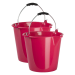 Forte Plastics 2x Stuks Huishoud Schoonmaak Emmers Kunststof 9 Liter Inhoud 30 X 26 Cm - Emmers - Roze