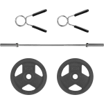 Ryzor Olympische Halterstang - 220 Cm - Staal - Zilver + Halterschijf - 20 Kg - Gietijzer 1 Paar - Grijs