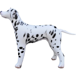 Opblaasbare Dalmatier Hond 75 Cm Decoratie/speelgoed - Buitenspeelgoed Waterspeelgoed - Opblaasdieren Decoraties