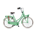 Altec Vintage 28inch Transportfiets N-3 Mat Ghost Green 57cm 2022