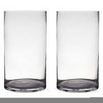 Bellatio Decorations 2x Transparante Home-basics Cylinder Vaas/vazen Van Glas 45 X 25 Cm - Vazen