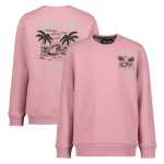 Cars Jeans Sweater - Roze