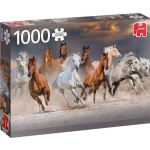 Jumbo Legpuzzel Woestijnpaarden 1000 Stukjes