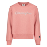 Champion Sweater - Roze