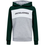 JACK & JONES Sweater - Groen